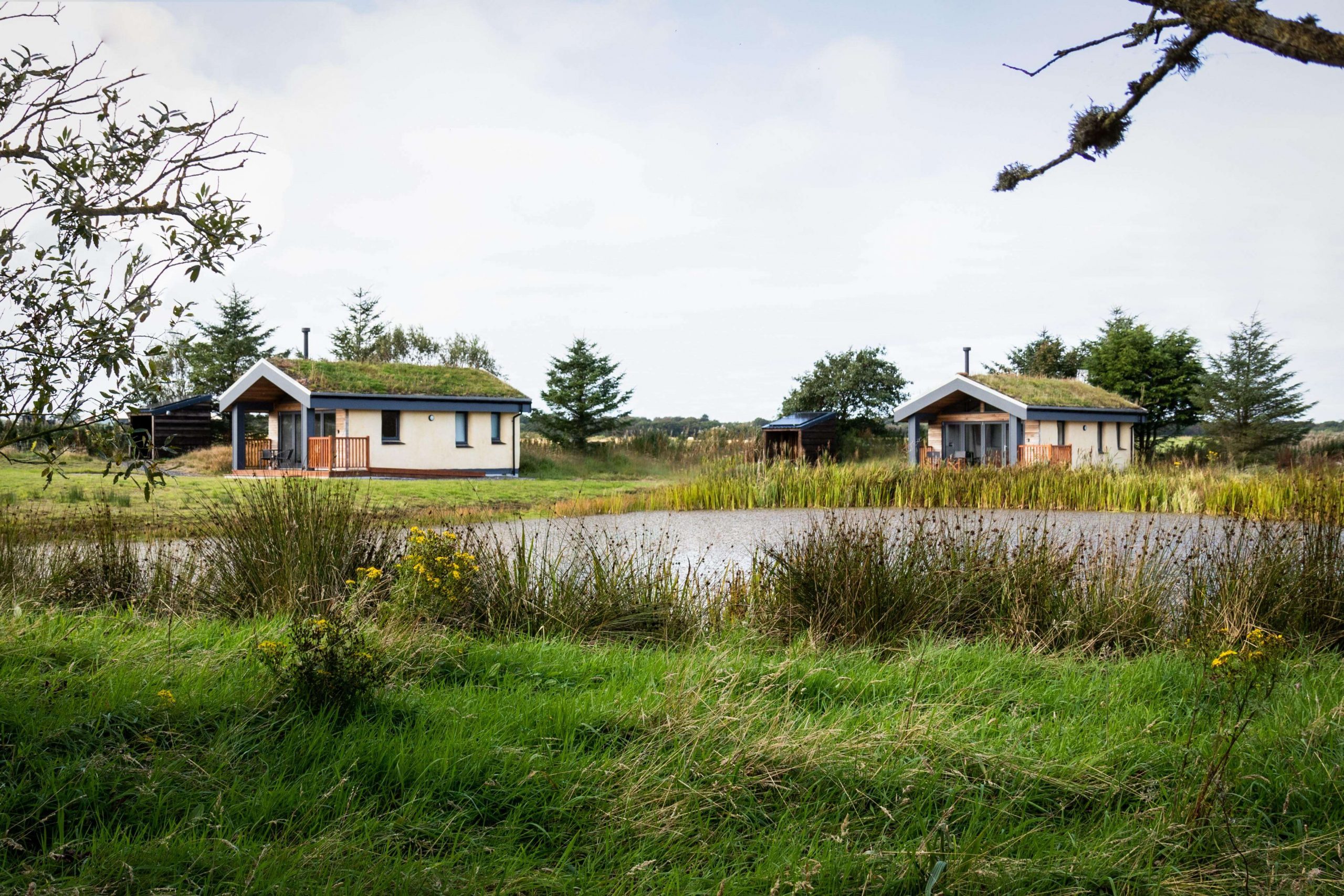 wildflower eco lodges self catering aberdeenshire 18