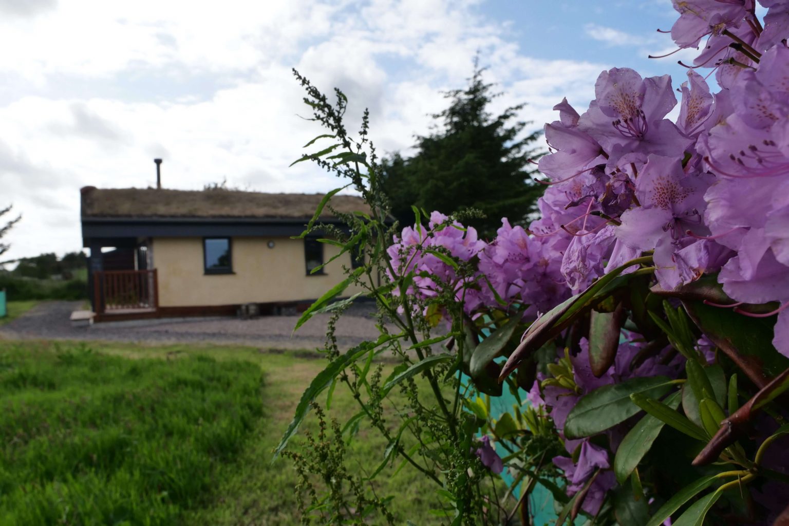 wildflower eco lodges self catering aberdeenshire 24