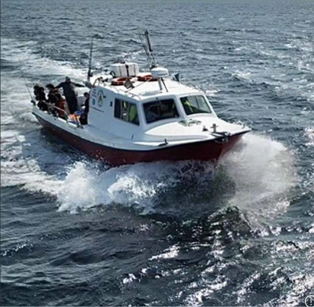 misty angling boat trips