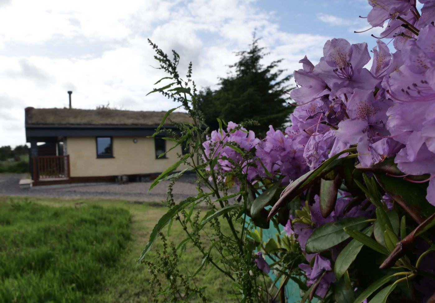 wildflower eco lodges 4